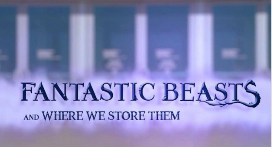 SIA-Fantastic Beasts and Where We Store Them